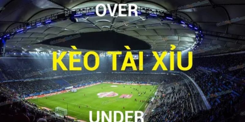 Những lưu ý quan trọng khi chơi kèo tài xỉu